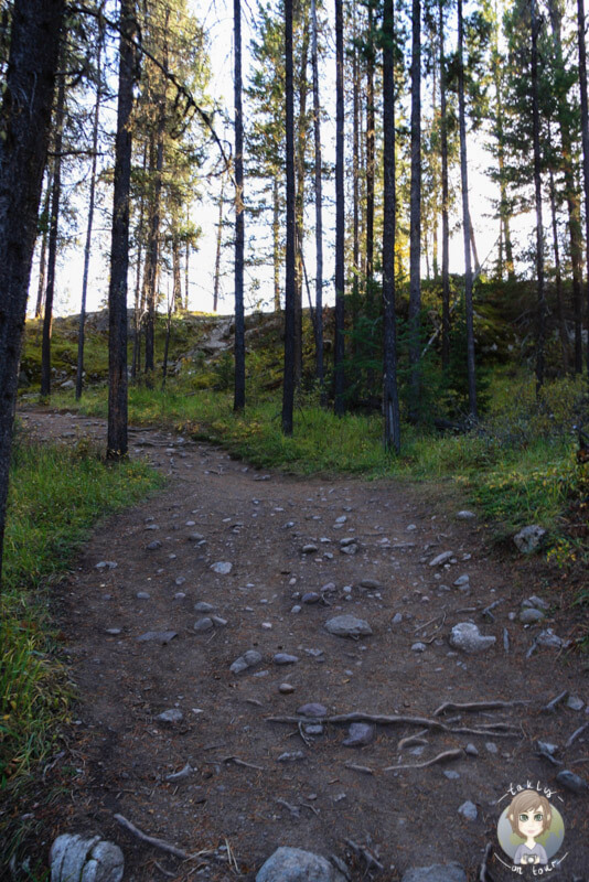 Der Wanderweg vom Valley of the Five Lakes, Kanada