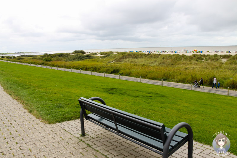 Eine Bank auf dem Deich von Norden - Norddeich