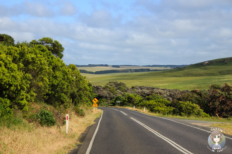 Vorbildliches Wetter auf unserem Roadtrip über die Great Ocean Road, Australien