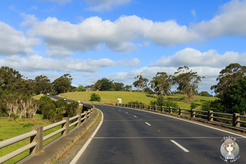 Road to Meeniyan, Victoria, Australien