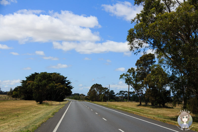 Fahrt über den Princess Highway Richtung Geelong