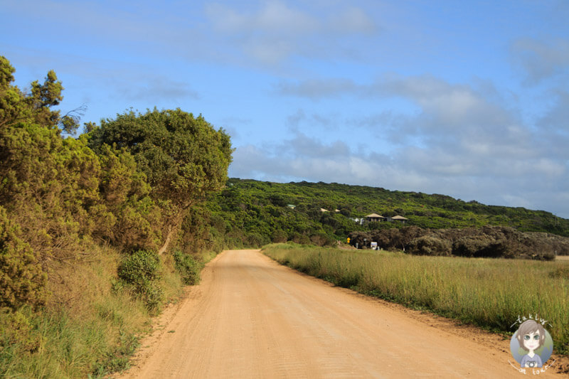 Fahrt vom Campingplatz Richtung Great Ocean Road, Australien