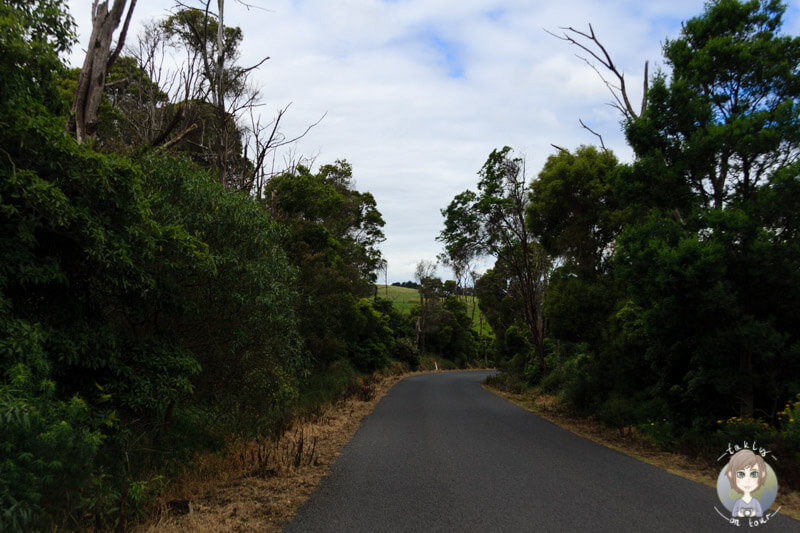 Agnes Falls Road, Toora, Victoria, Australien