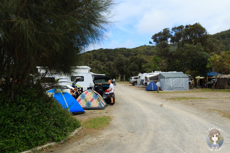 Camping im Wilson Promontory National Park, Tidal River, Australien