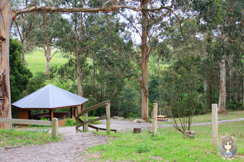 Carpark der Agnes Falls, Hazel Park, Toora, Victoria, Australien