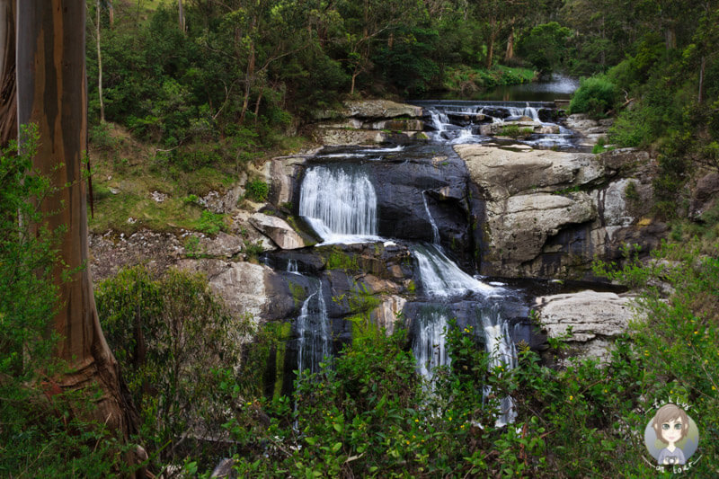 Die Agnes Falls, Hazel Park in Victoria, Australien