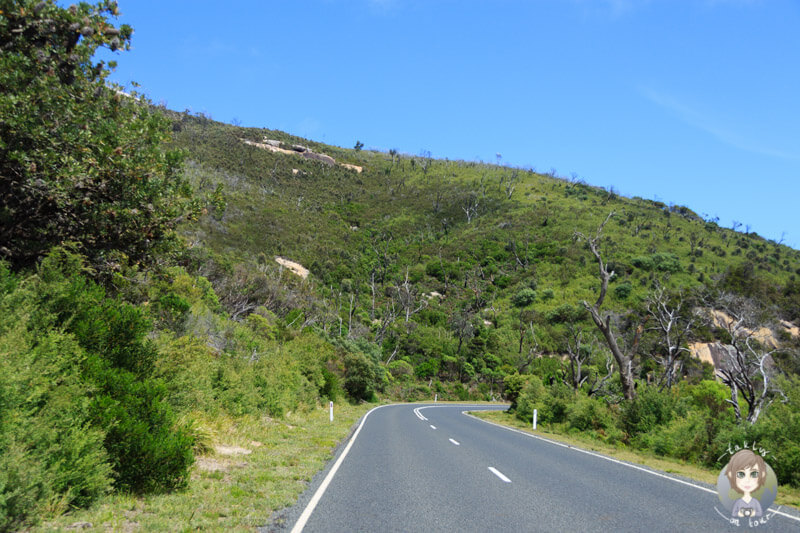 Fahrt durch den Wilsons Promontory Nationalpark, Vic, Australien