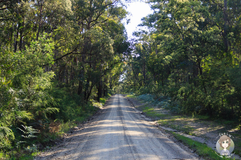 Lake Tyers State Park, Victoria, Australien