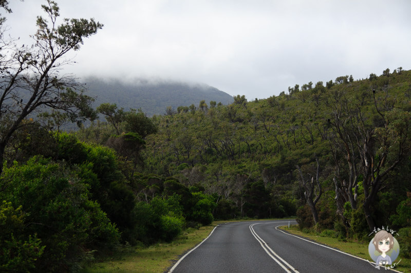 Landschaft im Wilsons Promontory Nationalpark, Victoria, Australien