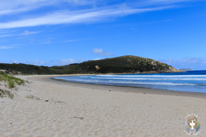 Der einsame Strand in der Picnic Bay, Wilson Promontory Nationalpark, Victoria