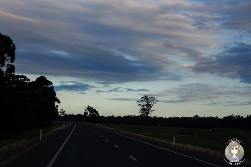 Fahrt über den Princes Highway, Victoria