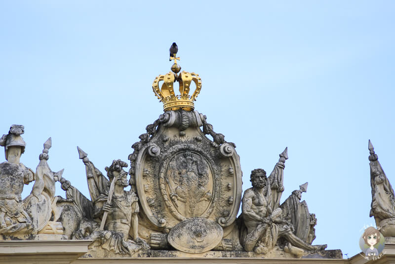 Ein Vogel auf der Krone