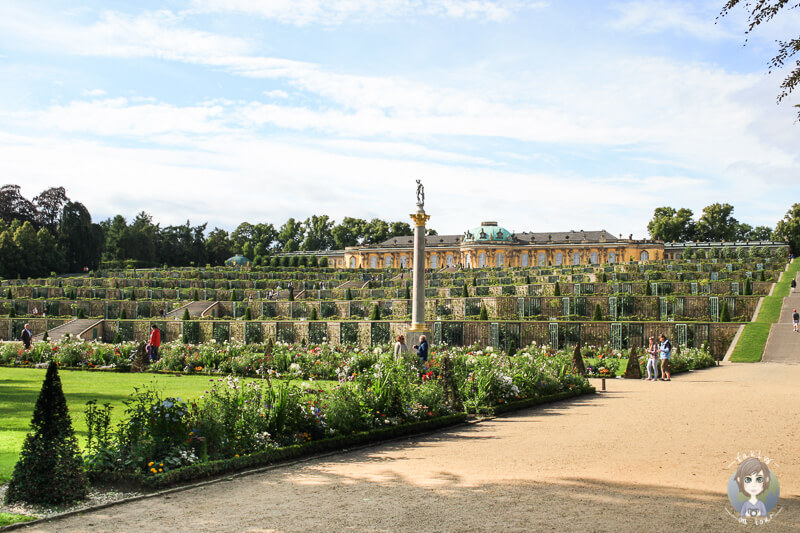 Das Schloss Sanssouci mit seinen Weinbergterrassen