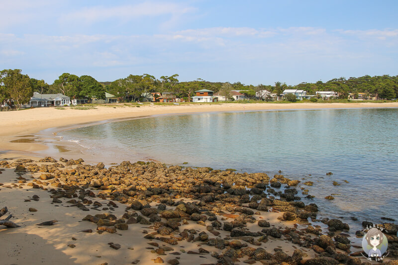 Bundeena Beach mit Haeusern im Hintergrund