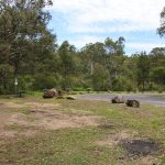 Campingplatz im Blue Mountain Nationalpark Megalong Valley, NSW, Australien