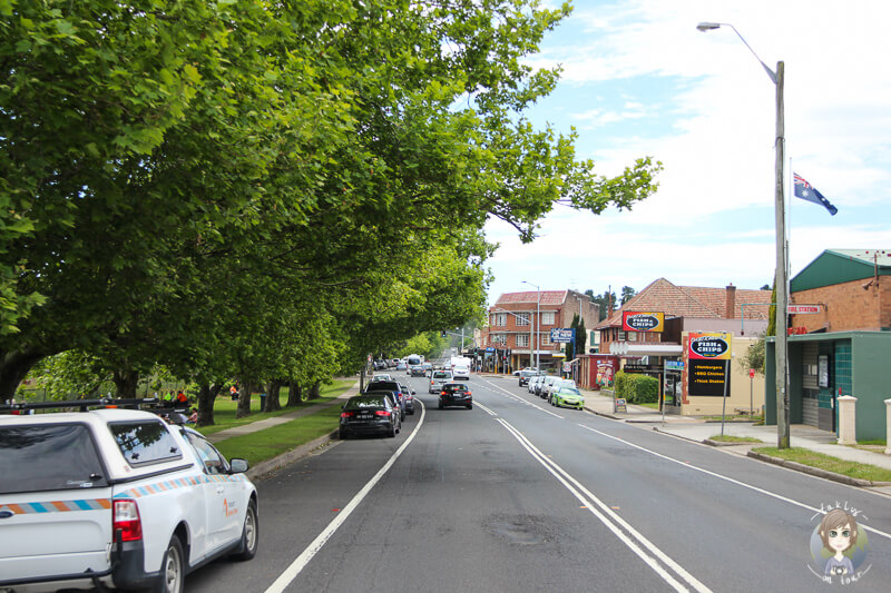 Hauptstrasse in Blackheath mit Baeumen und Autos an der linken Strassenseite 