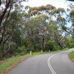 Die Fahrt ueber den Cliff Drive mit Baeumen links und rechts