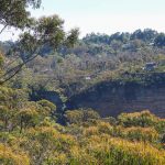 Beeindruckende Gondelfahrt im Blue Mountains National Park Australien