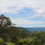 Ausssichtspunkt am Greater Blue Mountains Drive mit Bauemen davor