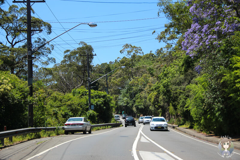 Schöne Strasse im Vorort von Sydney