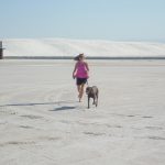 Hund im White Sands National Monument
