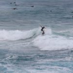 Ein Surfer am South Curl Curl Beach in NSW, Australien