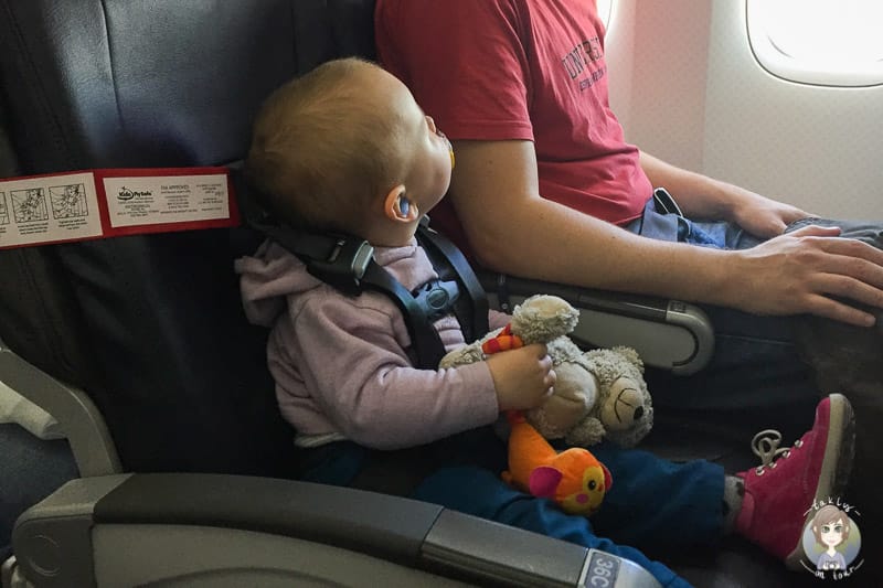 Kids FLY Safe CARES Gurt Flugzeuggurt