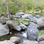 Der Oak Creek an der Banjo Bill Rest Area