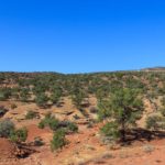 Die Landschaft auf dem Capitol Reef Scenic Route