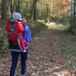 Wandern in Nideggen über zu den Buntsandsteinfelsen