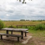 Picknickplatz im Dwingelderveld