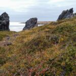Aussicht zwischen Hellnar und Arnarstapi im Westen Islands